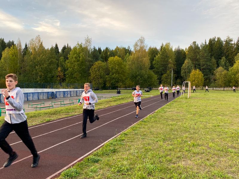 Легкоатлетический кросс.